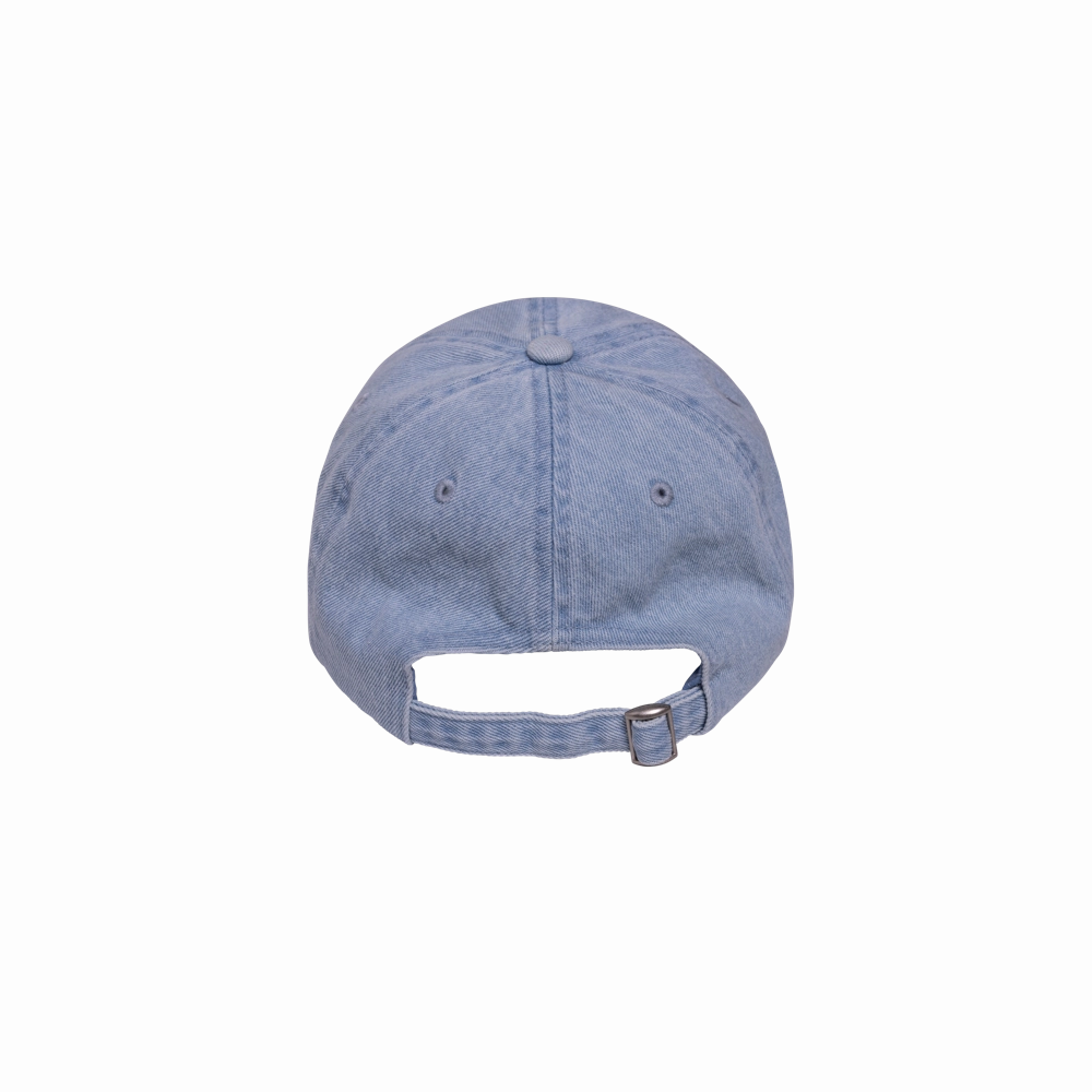 Court Culture Dale HEAT Denim Dad Hat