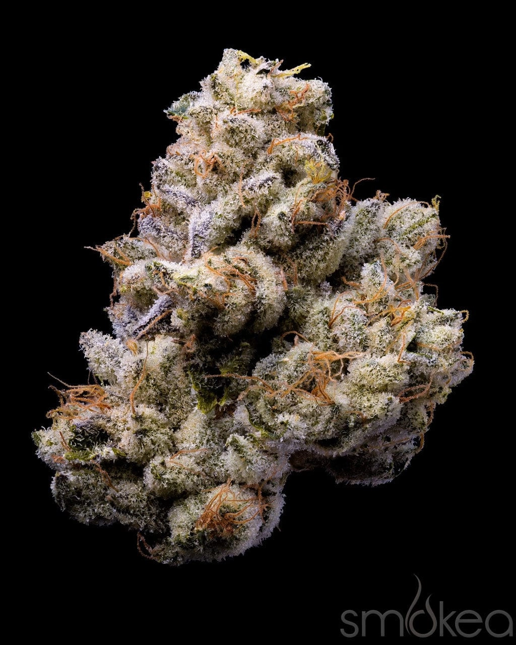 Lemonnade Cannabis Seeds - Orange Cake