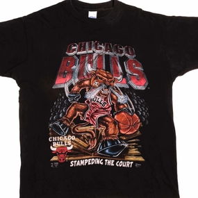 VINTAGE NBA CHICAGO BULLS TEE SHIRT 1990's SIZE XL MADE IN USA
