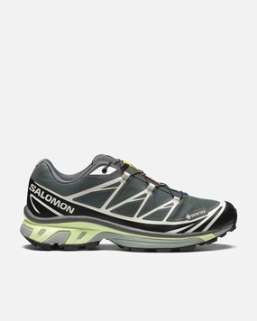 XT-6 GORE-TEX 'Urban Chic/Lime Cream'